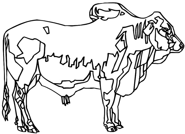 Brahma bull vinyl sticker. Customize on line.      Animals Insects Fish 004-1168  